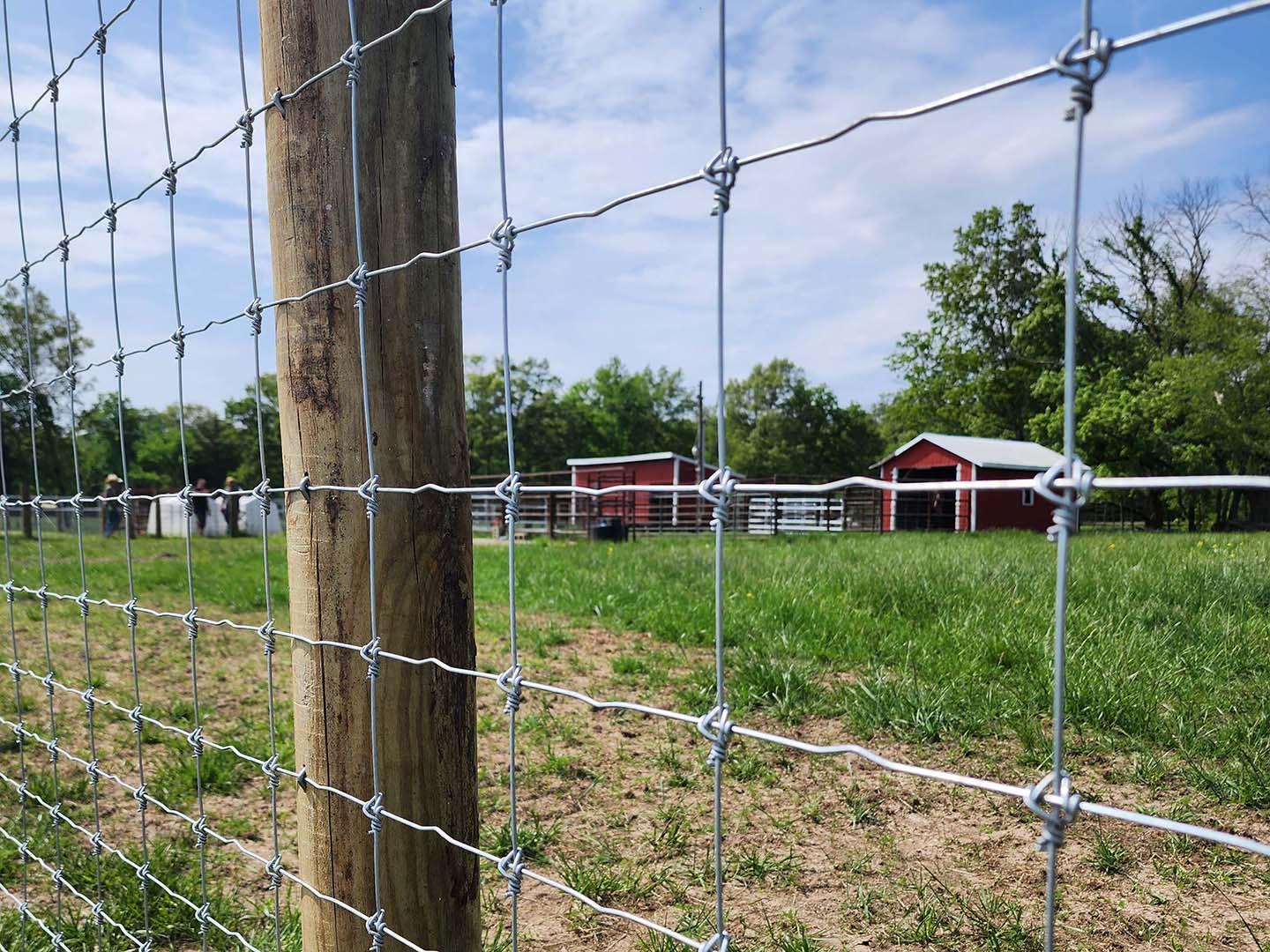Knott Fence – 7FT Height
